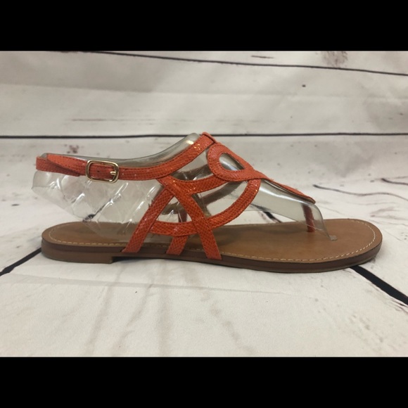 Coach and Four Shoes - 7.5 Coach and Four